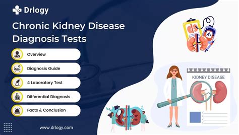 how to test for kidney disease